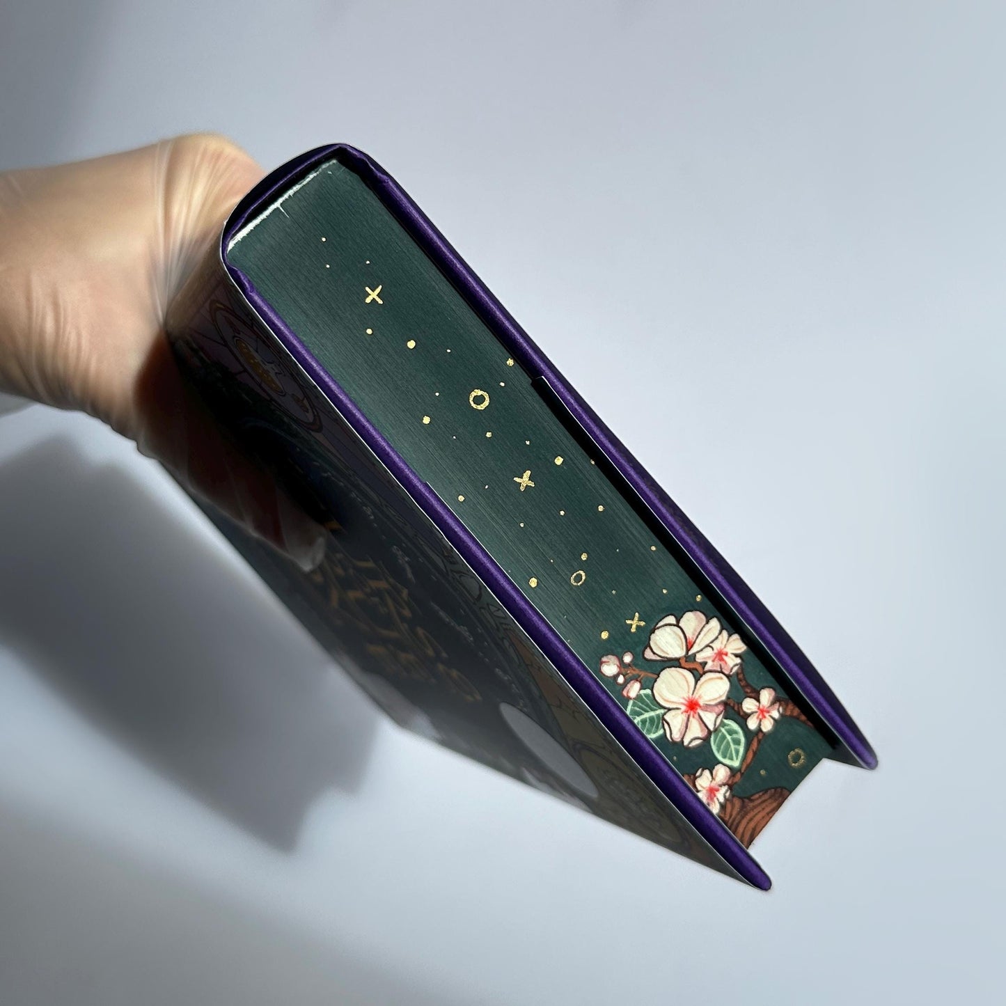 A Curse For True Love: Hand-Painted Edges Signed Book by Stephanie Garber