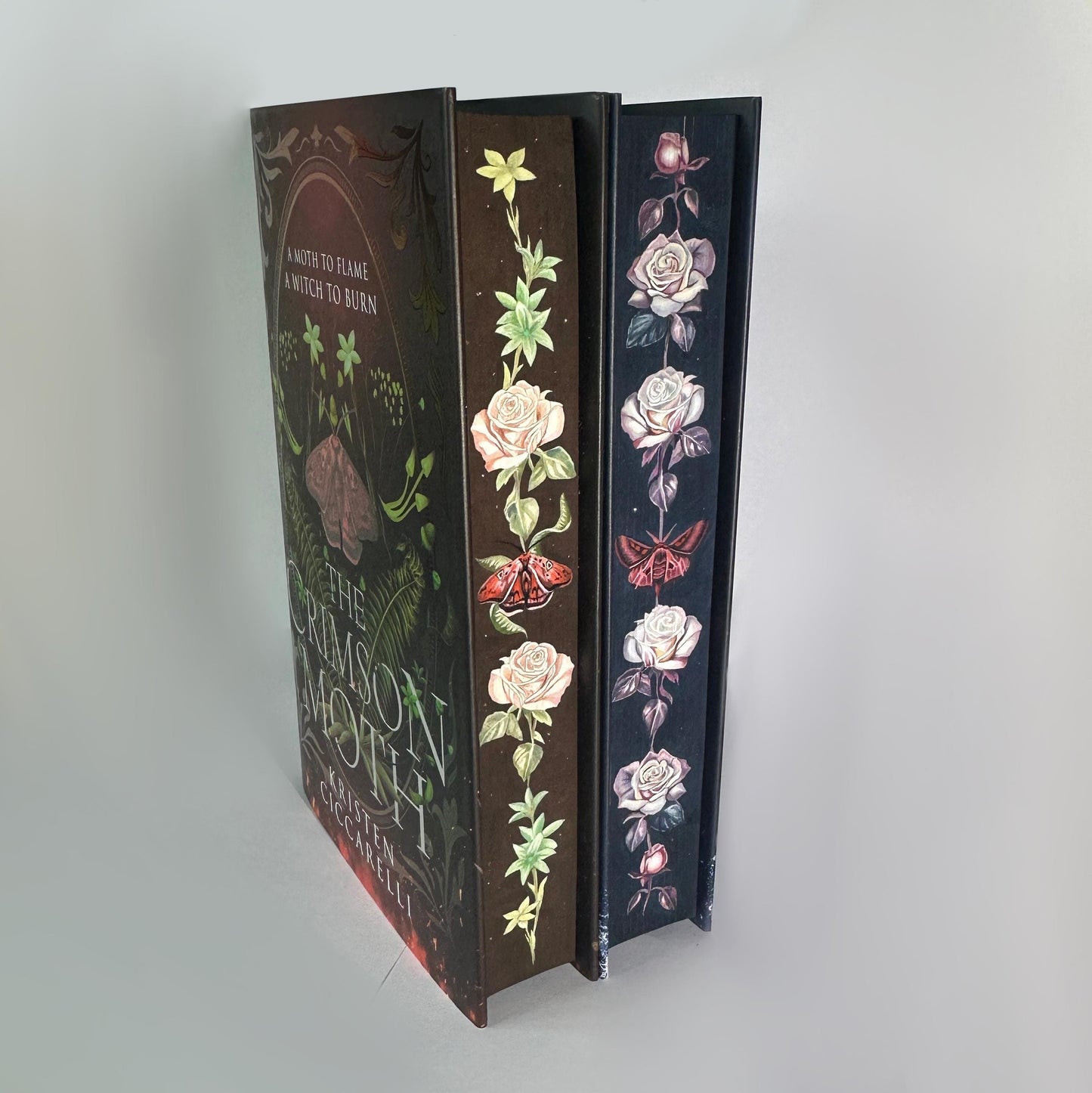 Hand Painted Edges Book: Kristen Ciccarelli's The Crimson Moth Duology | bookish lover gift