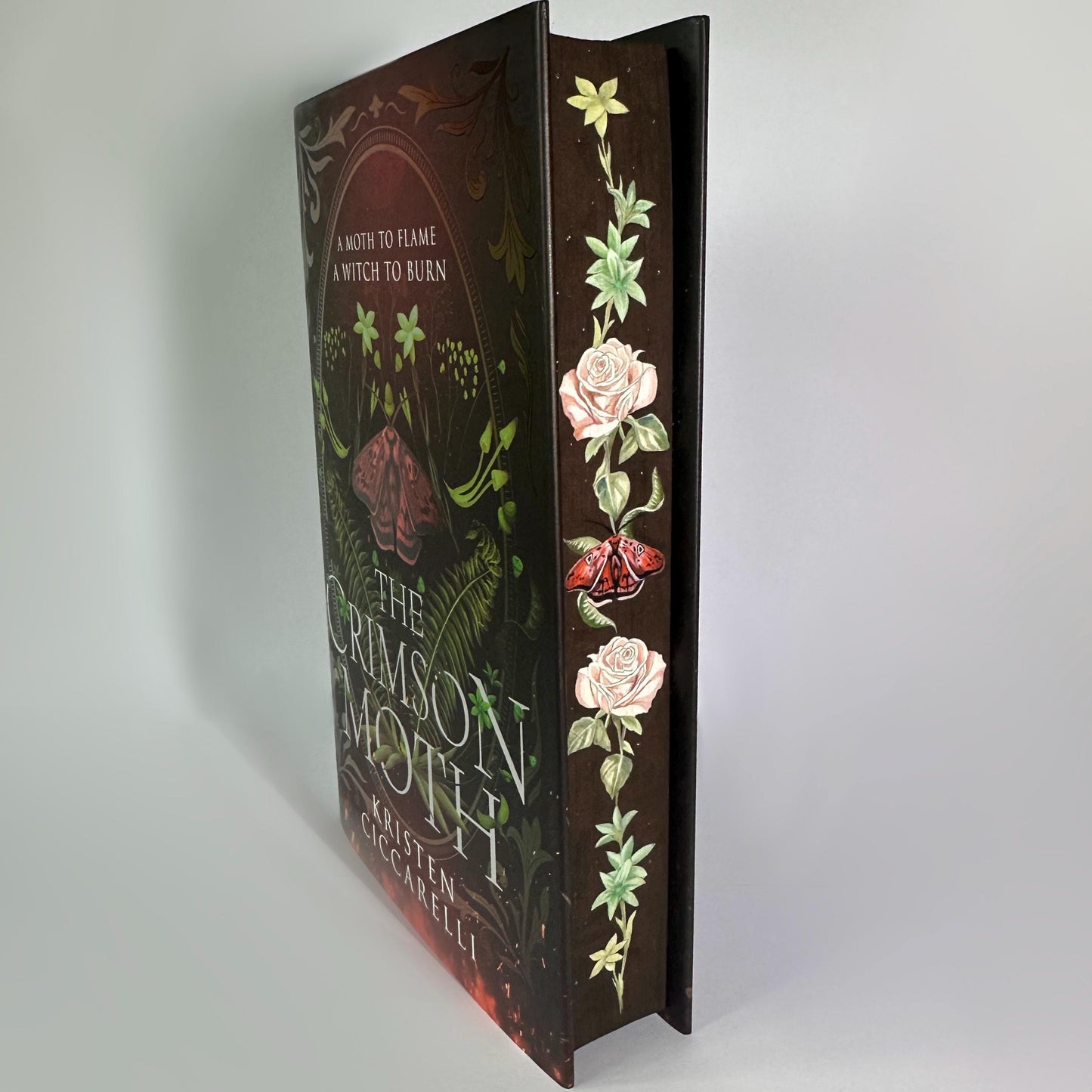 Hand Painted Edges Book: Kristen Ciccarelli's The Crimson Moth Duology | bookish lover gift