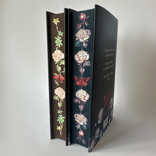 Hand Painted Edges Book: Kristen Ciccarelli's The Crimson Moth Duology | bookish lover gift