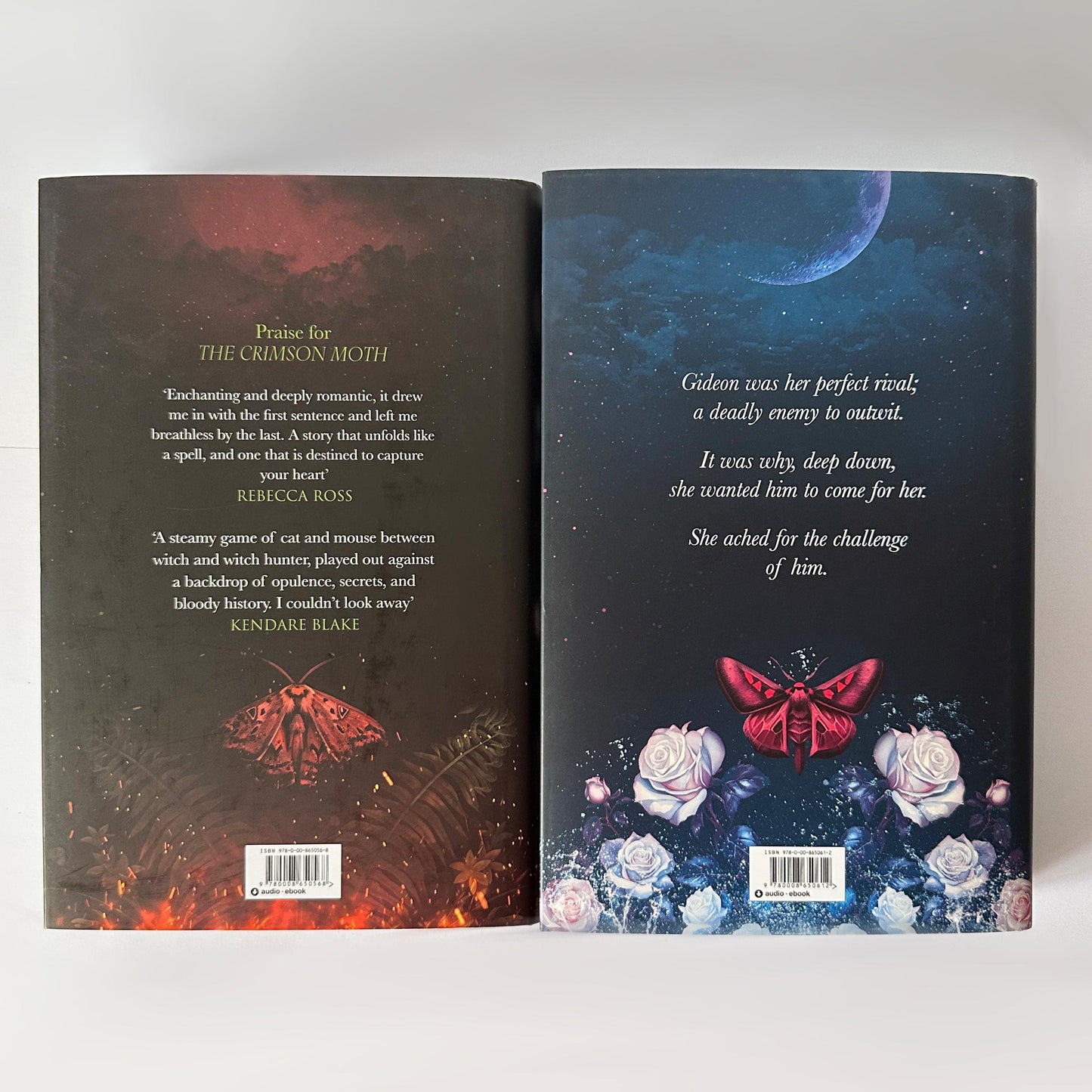 Hand Painted Edges Book: Kristen Ciccarelli's The Crimson Moth Duology | bookish lover gift