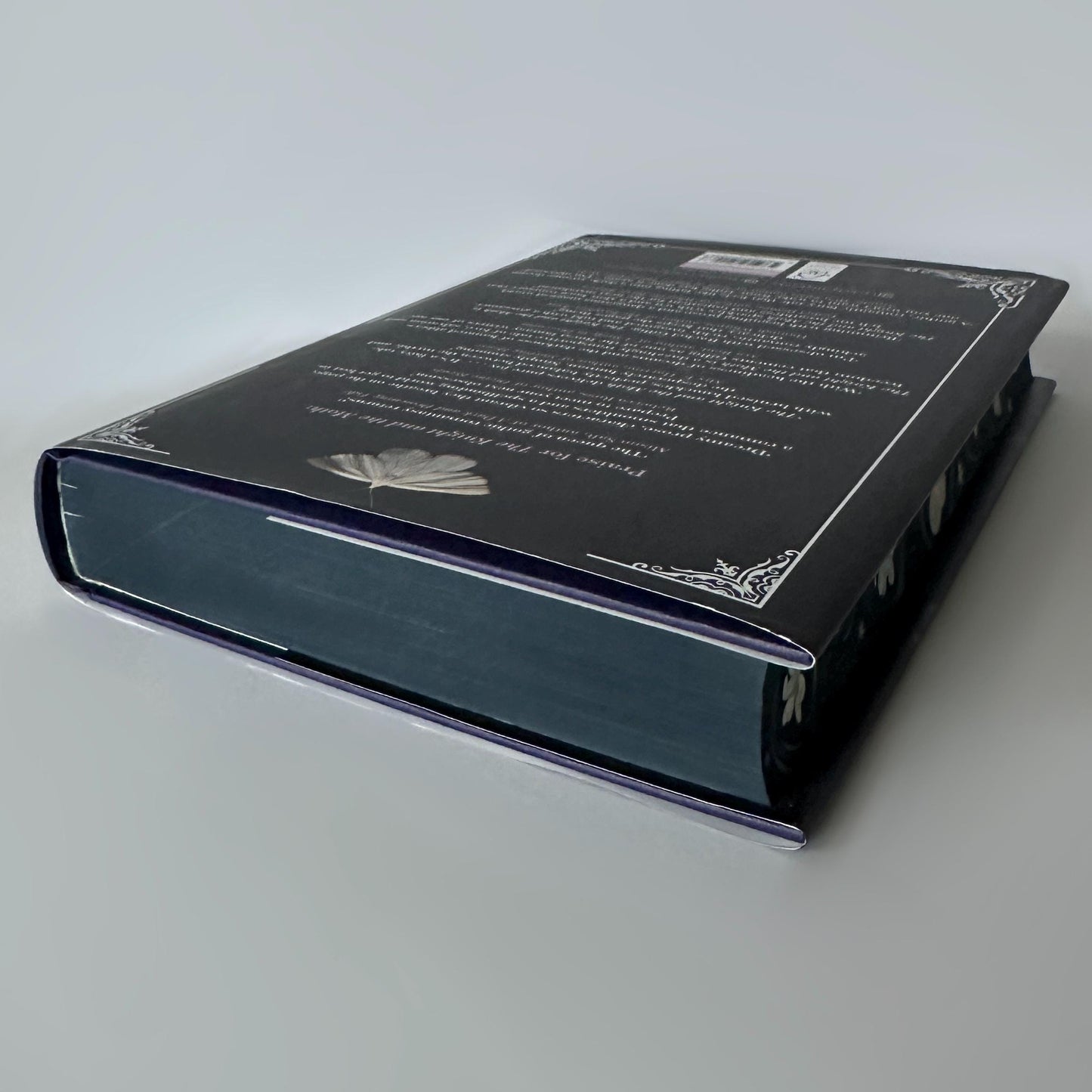 Hand Painted Edges Book: The Knight and the Moth by Rachel Gillig | bookish lover gift