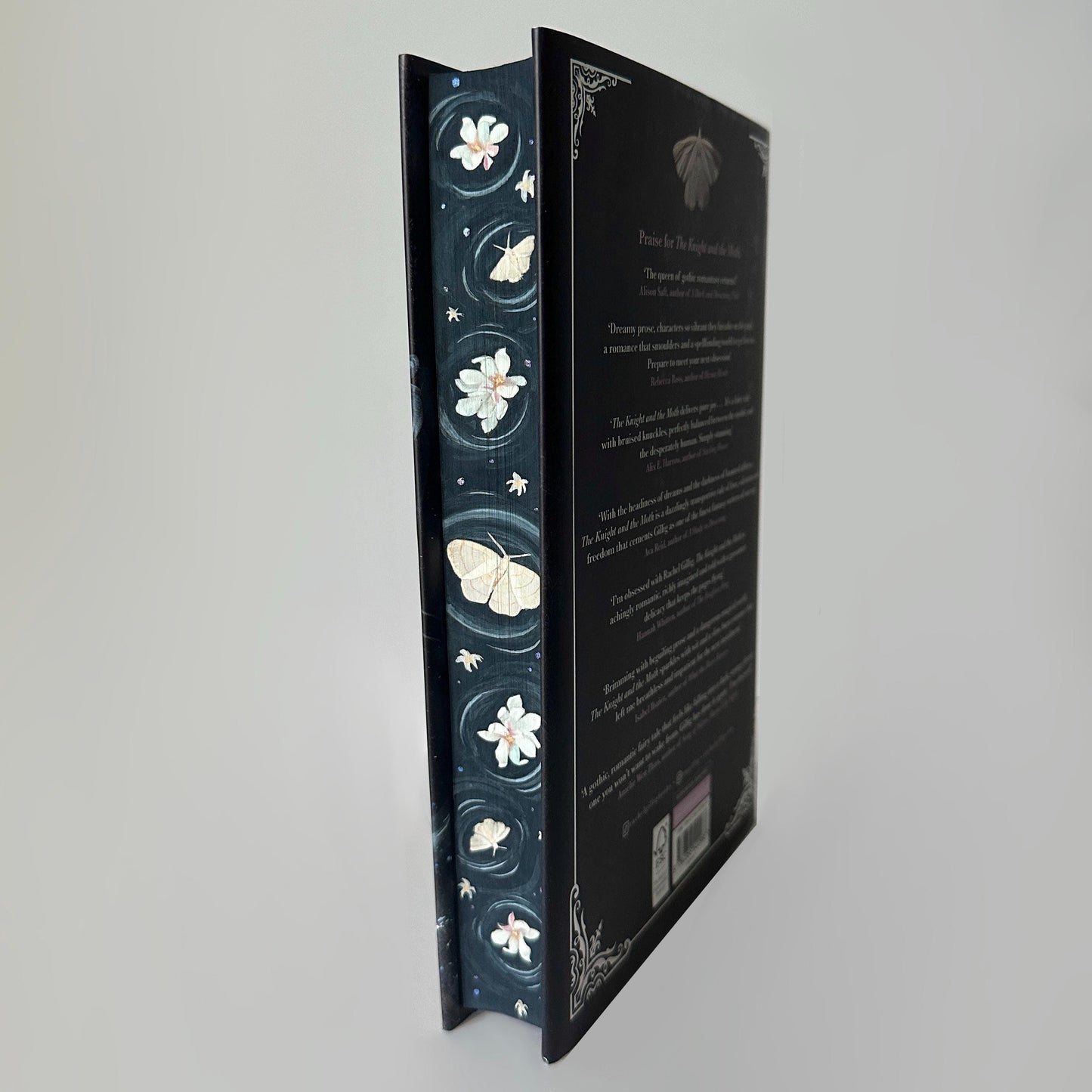 Hand Painted Edges Book: The Knight and the Moth by Rachel Gillig | bookish lover gift