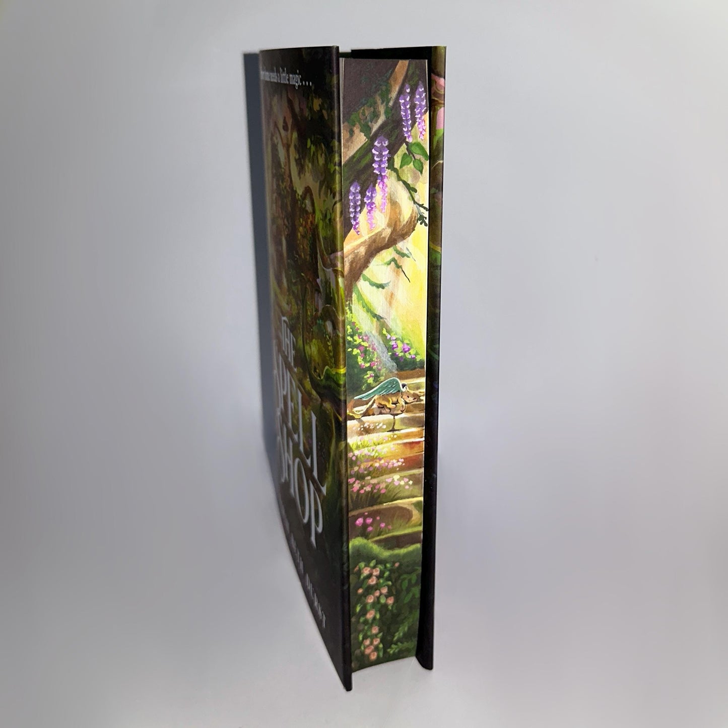 The Spellshop Hand Painted Edges/Fore-Edge Book Painting | Sarah Beth Durst | book lover bookish gift