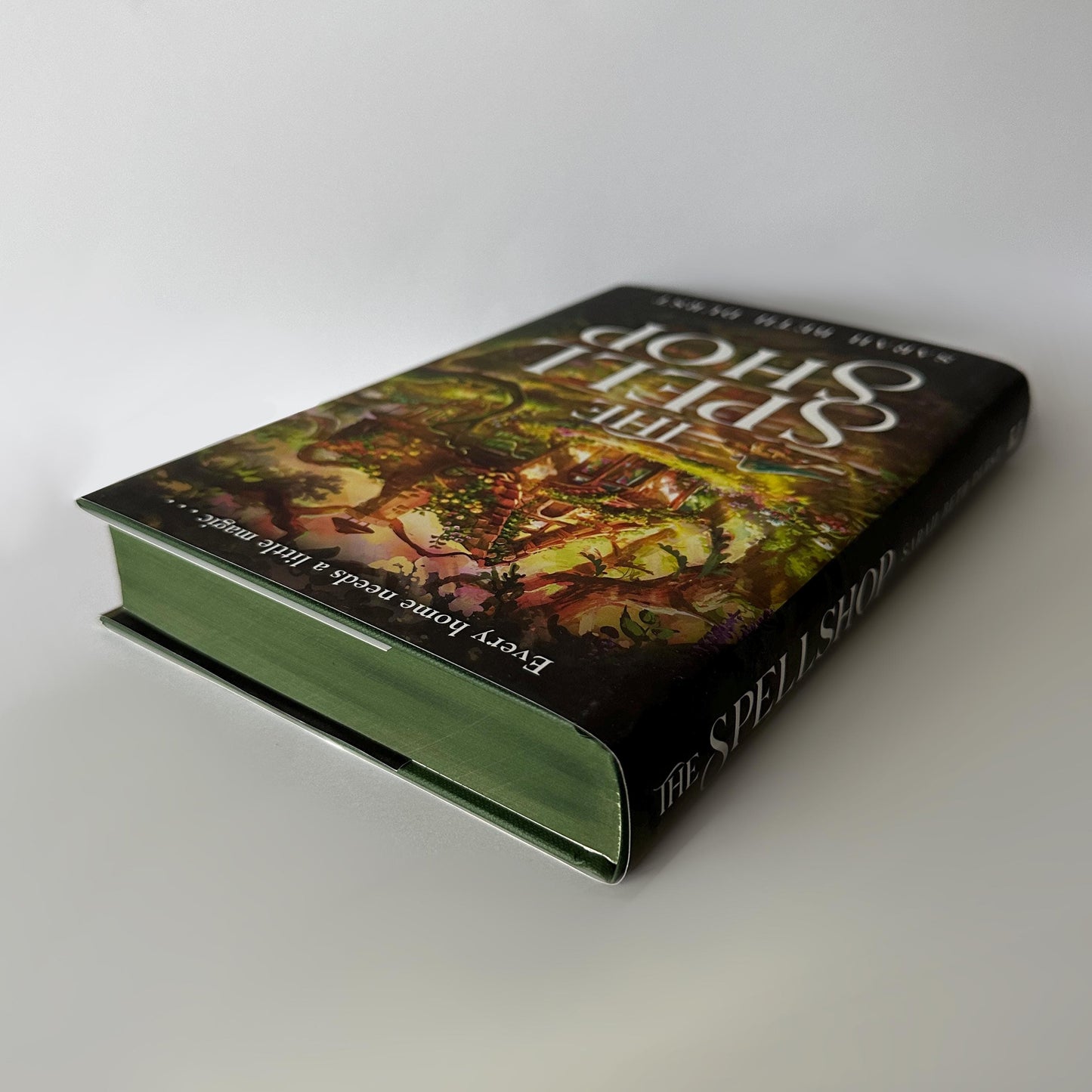 The Spellshop Hand Painted Edges/Fore-Edge Book Painting | Sarah Beth Durst | book lover bookish gift